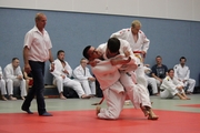 Judo-Sommerturnier_2014_013