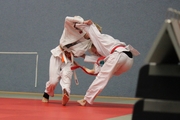 Judo-Sommerturnier_2014_026