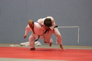 Judo-Sommerturnier_2014_040