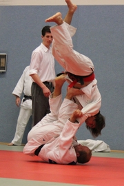 Judo-Sommerturnier_2014_042