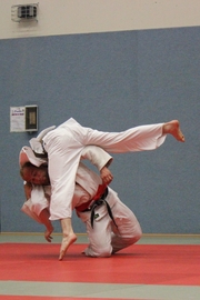 Judo-Sommerturnier_2014_052
