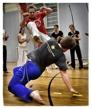 Workshop 7 Capoeira 11-2016
